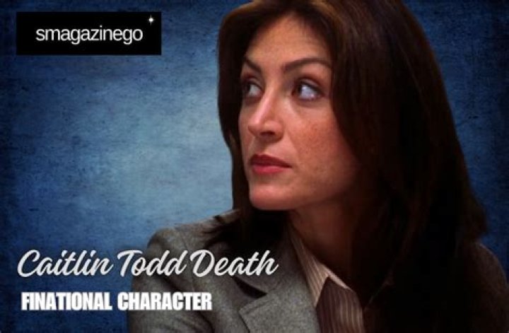 A Deep Dive Into Chuck Todd's Wife