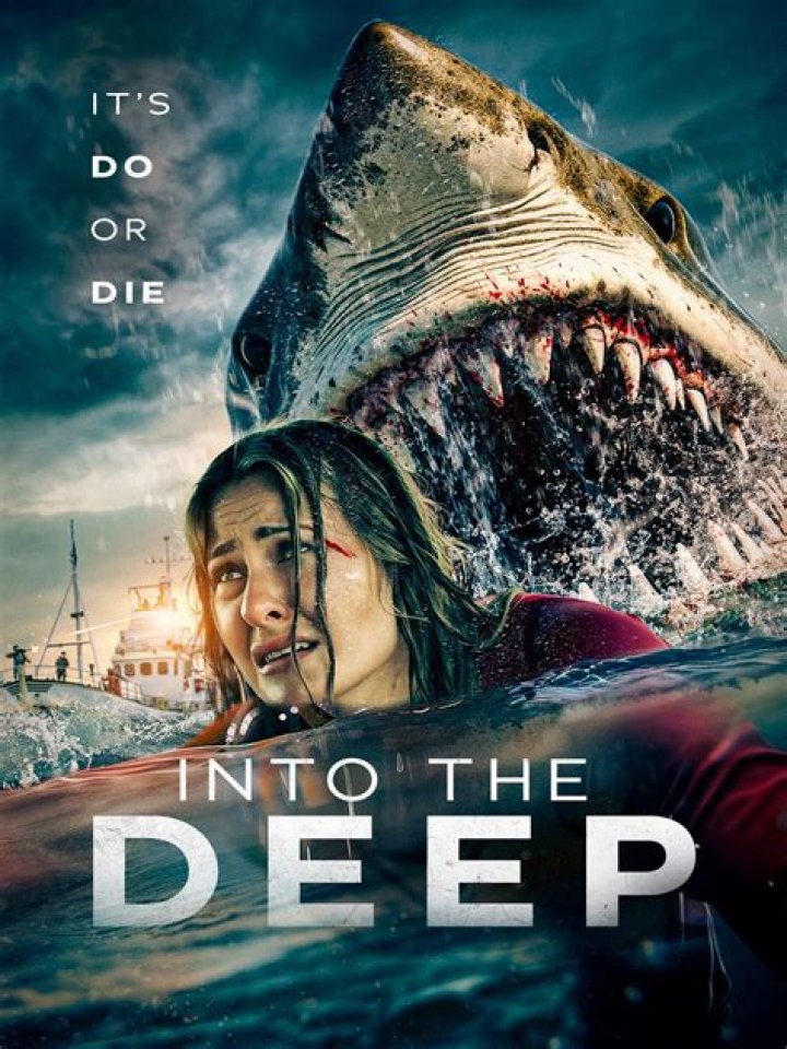 A Deep Dive Into 