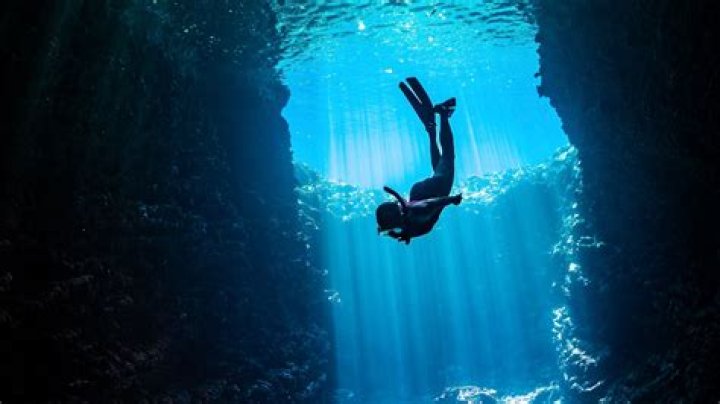 A Deep Dive Into Philip Wegmann's Life And Perspectives