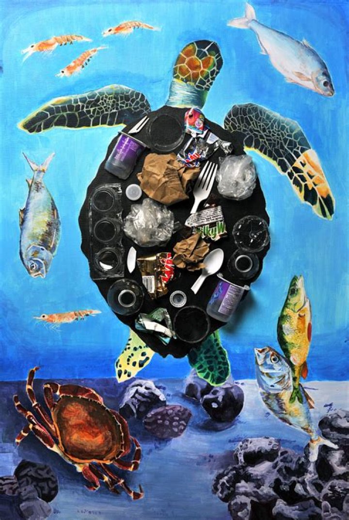 A Journey Of Artistic Mastery And Environmental Advocacy
