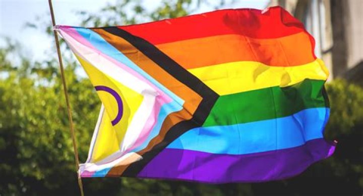 A Journey Of Pride And Advocacy