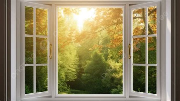 A Window Into Love And Acceptance