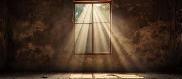 A Window Into Parenthood And Values