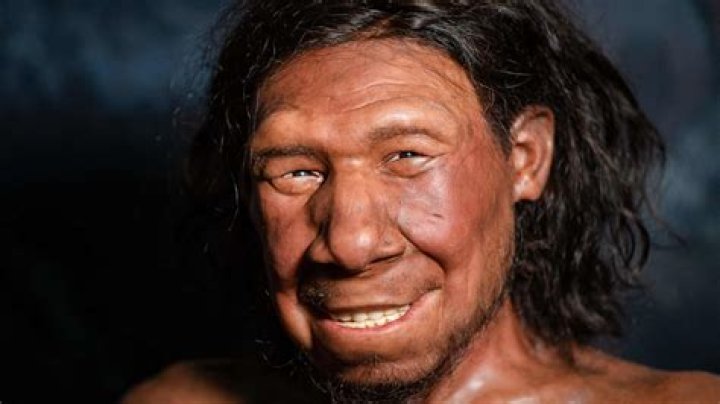 Age, Wife, And Intriguing Discoveries