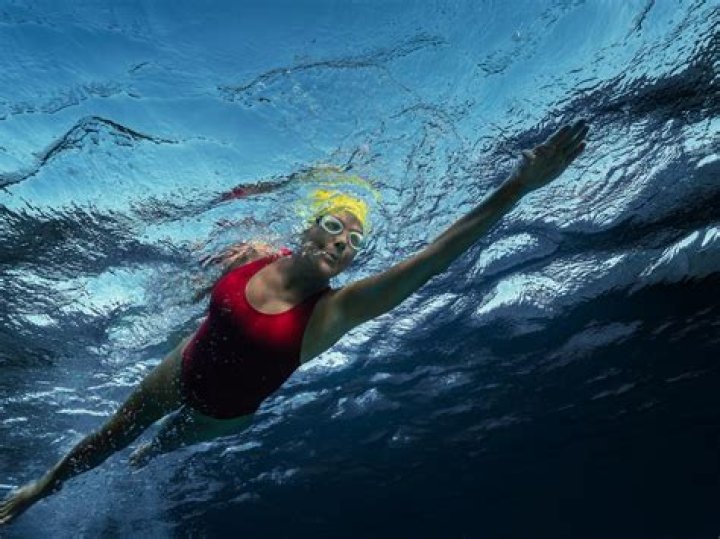 Diana Nyad's Springtime Swim: Discoveries And Insights