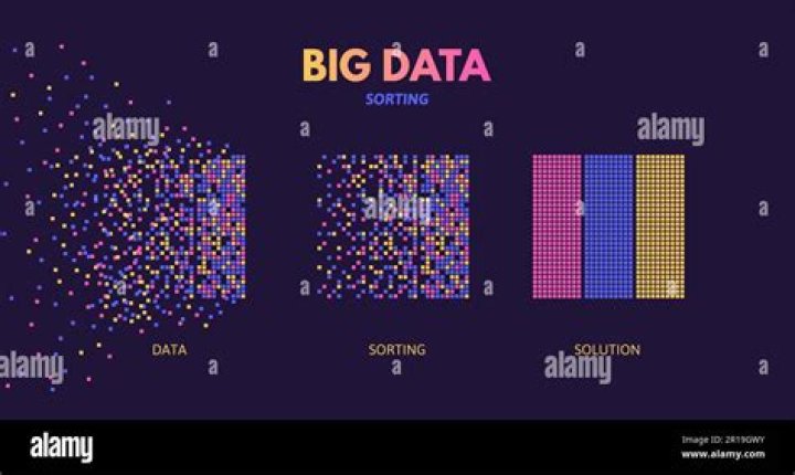 Discover The Remarkable Innovations Of Renee M. Paidle In Big Data Analysis