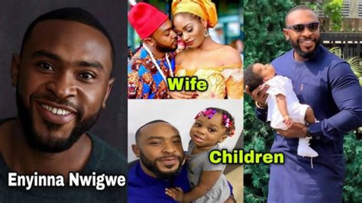 Enyinna Nwigwe And Daniella Down's Relationship Unveiled