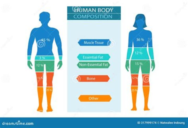 Height, Weight & Body Composition Revealed