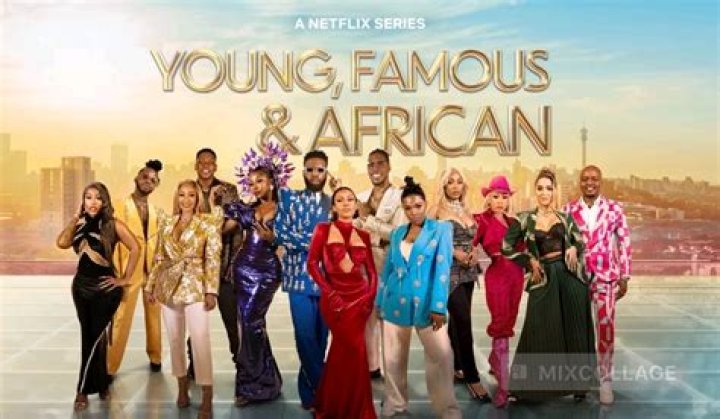 Immerse In The Dazzling World Of 