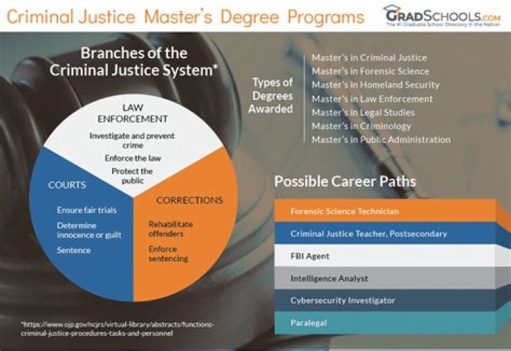 Insights Into Criminal Justice And Advocacy