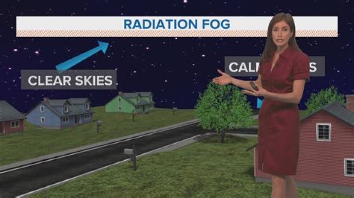 Know whether meteorologist Alexandra Cranford is in a marital relationship with someone or is single.