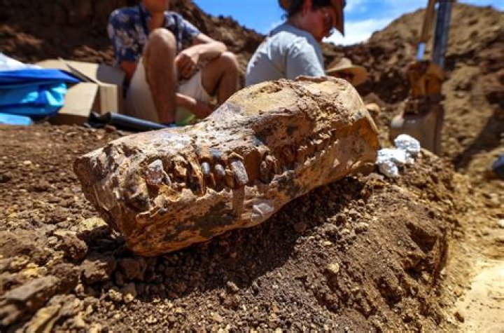 Uncover The Latest News And Discoveries