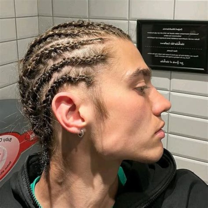 Unraveling The Cultural Tapestry And Styling Secrets Of White Boy Carl Braids
