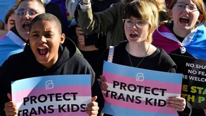Unveiling Bonnie Stoll's Trailblazing Advocacy For Transgender Rights