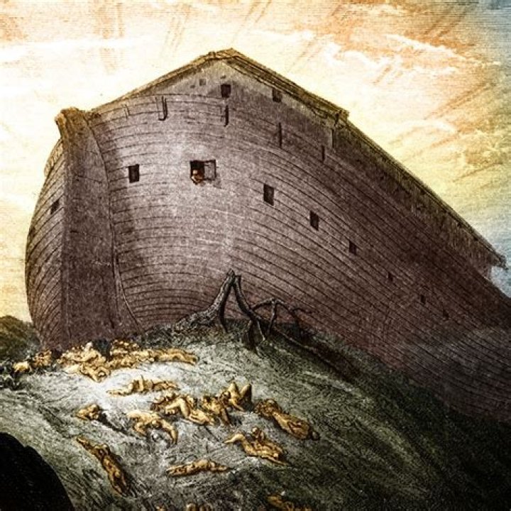 Unveiling The Height Of Noah Beck: Discoveries And Insights