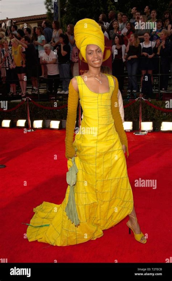 Unveiling The Secrets: Erykah Badu's Marital Odyssey